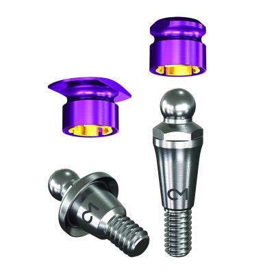 Dalbo abutment